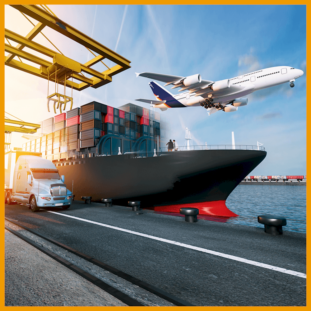 International Transportation